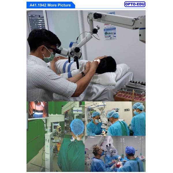 Chest Burn And Plastic Surgical Microscope OPTO EDU A41.1942