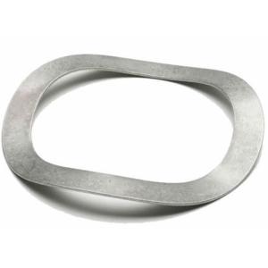 M2 M5 M10 Stainless Steel ANSI AISI 304 316 Curved Spring Washers GB860