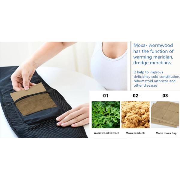 Electrical Thermal Therapy Warm Waist Belt Basic Protection With Massaging
