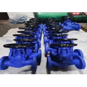 Manual Gate Valve Single Wedge DN10-DN50 API ANSI DIN