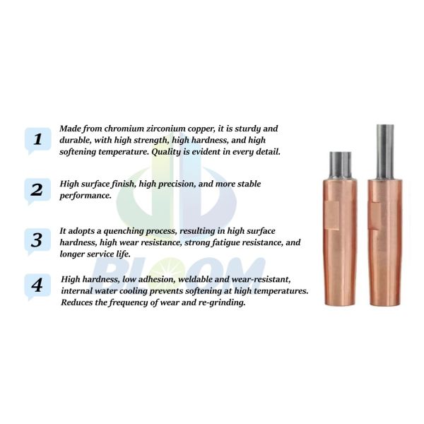 BLM Resistance Spot Welding Electrode with Tungsten