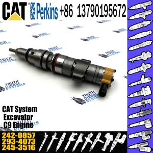 China Common Rail Diesel Fuel Injector 242-0857 for Caterpillar HEUI CAT C9 Engine 2420857 on sale
