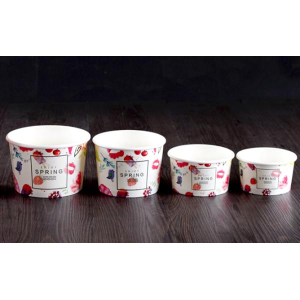 300ml Disposable Cold Ice Cream Cups with Our Brand
