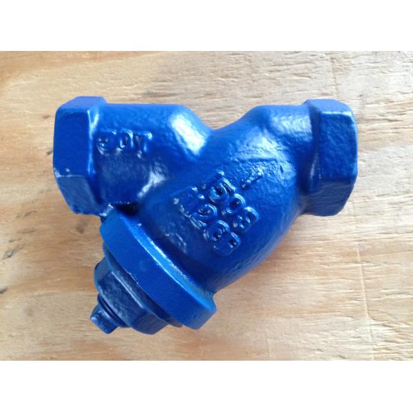ANSI y strainer threaded ends