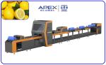 380V / 50Hz Automatic Lemon Sorting Machine With PLC Control System