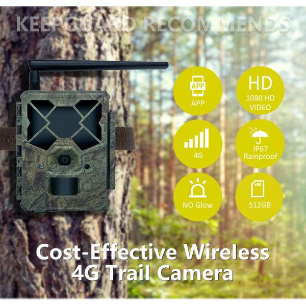 Experience Unmatched Performance with 4G Trail Camera The Perfect Solution for Wildlife Monitoring