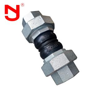 Stainless Steel Screwed Union Bspt Threaded Joint General Rubber Expansion