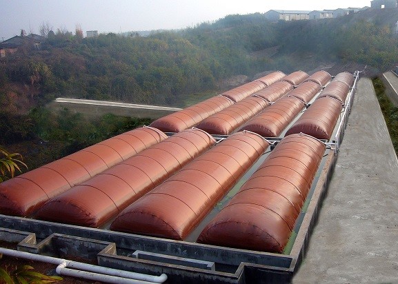 Customized Bio Digester Tank Improve The Environment Household Anaerobic Manure