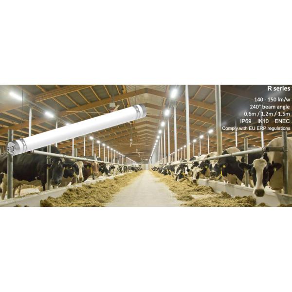 Poultry Farm R Series LED Tri Proof Light 240 Degrees Ammonia Corrosion