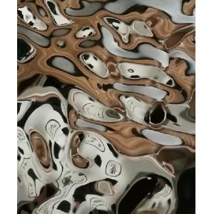 Decorative Stainless Steel Embossed Pattern Sheet Interior Surface Finish