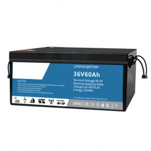 Wholesale Multiscene EV Lithium Iron Phosphate Battery IP55 Waterproof With BMS from china suppliers