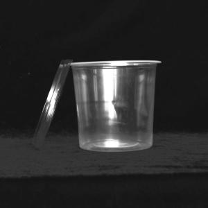 1.5L 1500Ml Clear Disposable Round Plastic Container With Lids
