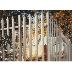 3m Steel Palisade Fencing , 12m Length Palisade Sliding Gate