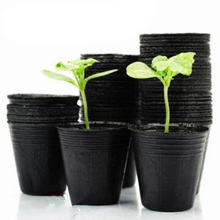 Low Price 200 cells seed tray for propagation nursery seedling pot plastic trays for plants with great price