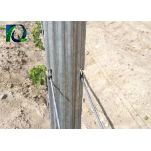 8FT Length Metal Vineyard Trellis Posts , 275G/M2 Galvanized Grape Vine Posts