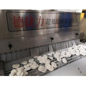 DJL Food Vegetable Cooling Conveyor Freezing Machines Factory Price Commercial