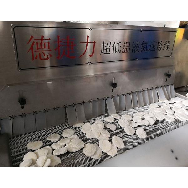 DJL Food Vegetable Cooling Conveyor Freezing Machines Factory Price Commercial