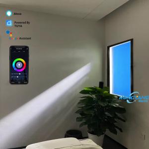 Commercial LED Smart Blue Sky Light Skylight Artificial Clear Sky Light With