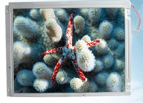 9.5 Inch Sharp LQ095Y5DR01 800 ( RGB ) x 480 LCD Screen Panels For Industrial