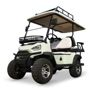 Utility Trucks With 2 Passenger And 48V 5KW AC Motor Journey Golf Cart Standing