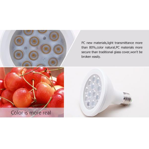 Ra90 12W E27 high bright LED par light factory