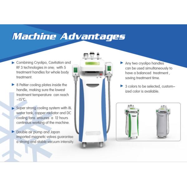 Quality New design fat freezing cryolipolysis body slimming machine with RF cavitation 5 handles for sale