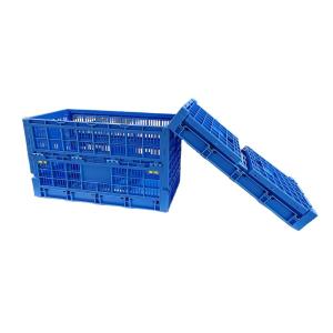 Farm Storage Solution PP Egg Plastic Crate with 8/12/14 Trays Mesh Box Style
