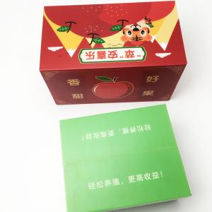 FDA Eco Friendly Reusable Corrugated Plastic Boxes For Universal Package