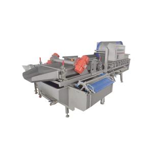 Turbine Type Industrial 1TPH Vegetable Washing Machine