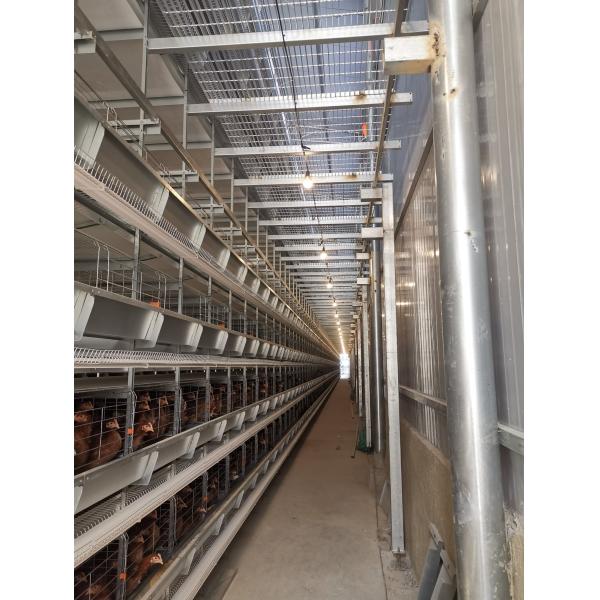 Layer Chicken Cages With Hot-dip Galvanization And Stacking Increase Feeding Density And Productivity.