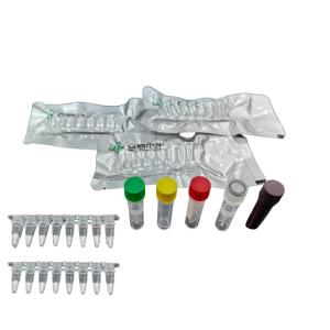 Wholesale Brucella Isothermal Pathogen Detection Kit For Rapid Diagnosis With 5-20mins from china suppliers