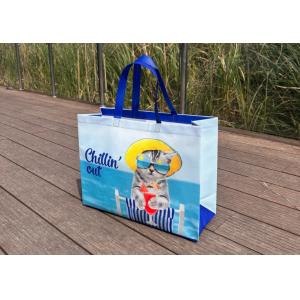 Reusable Polypropylene Packaging Laminated ECO PP Woven Bag Shopping Tote REPT