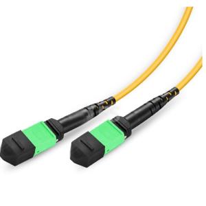 MTP / MPO To Dual MTP / MPO Female 24 Fiber OS2 Single Mode Conversion Harness