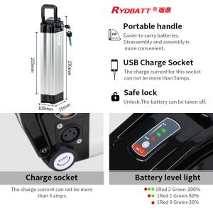 Customized 18650 Ebike Battery Sliver Fish 48V Electric Bicycle Battery