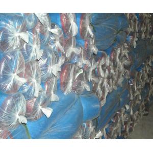 Wholesale Nylon window mosquito netting,sea food drying blue plastic net from china suppliers