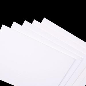 Wholesale Recycled Mixed Pulp Ivory Board Paper 170-400 GSM for Printing &amp; Packaging from china suppliers