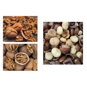 250 Kg / H Industrial Macadamia Nut Shelling Machine Cracker Automaticlly
