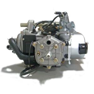 1PE40QMB 50CC 2-strokeswater cooled Engine