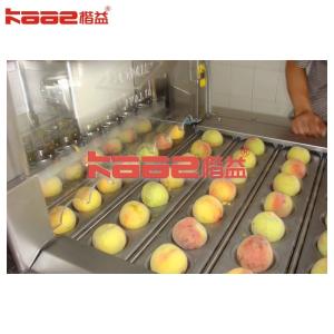 Dates Peach Fruit Processing Machine Automatic Stone Removing Machine