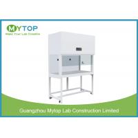 China Vertical Laminar Flow Cabinet Hospital Lab Equipment With Side Glass Window for sale