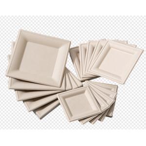 Food Box Container 120kw 1800pcs/H Pulp Molding Machine