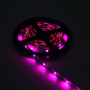 DC 12V 24V convenient 5050 30 or 60pcs option led strip lights smd 5050