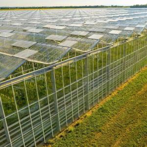 Eco-Friendly Multi Span Glass Greenhouse Customization and Estimated Delivery