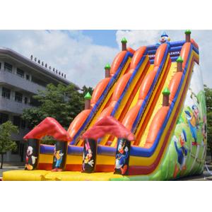 Backyard Dry and Wet Slides With Silk - Screen Printing  / Inflatable Pool Slide