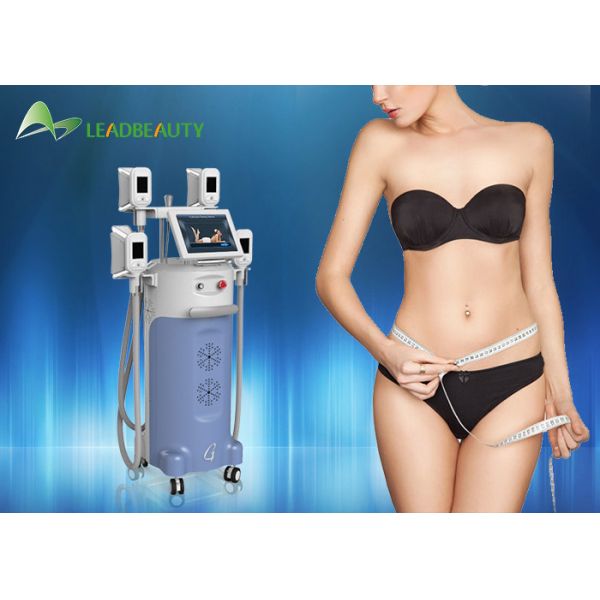 Quality 2016 professional cryo weight loss vertical cryolipolysis fat freezing machine for sale