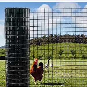Rabbit Fence 15M Length Welded Iron Wire Mesh Roll with Pvc Coated Galvanized