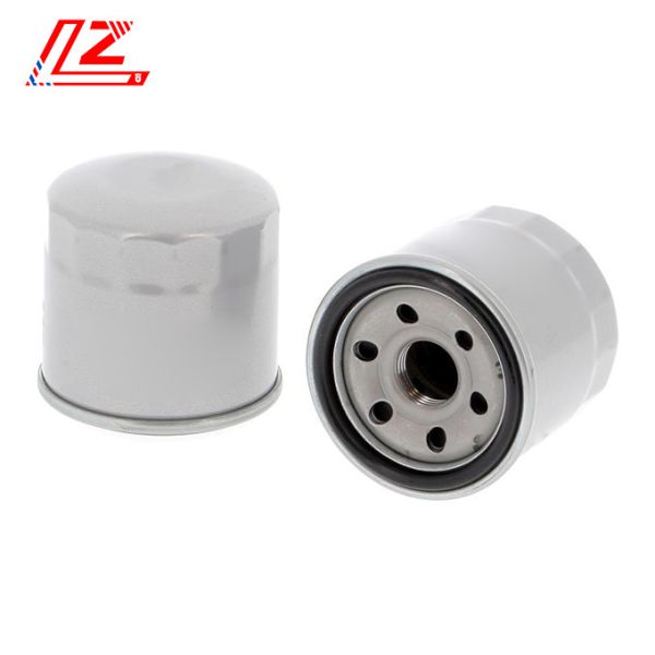 Professional Directly Selling Tractor Fuel Filter 1-954-075 for Automobile