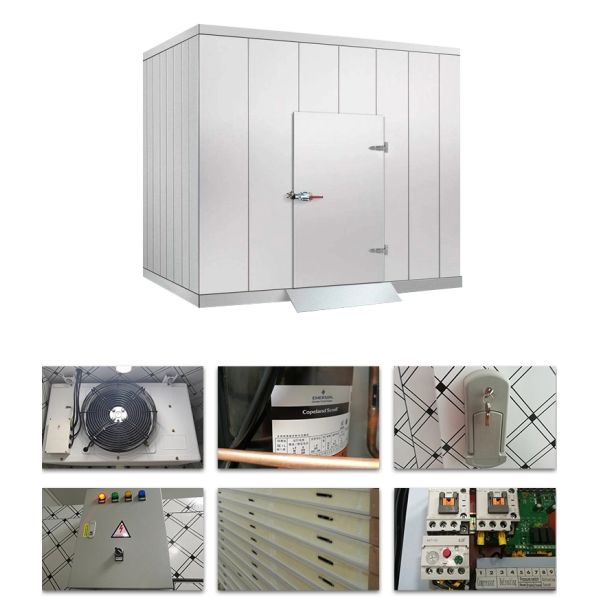 Pharmaceutical Grade Cold Storage Facility Customization For Biopharmaceutical Products