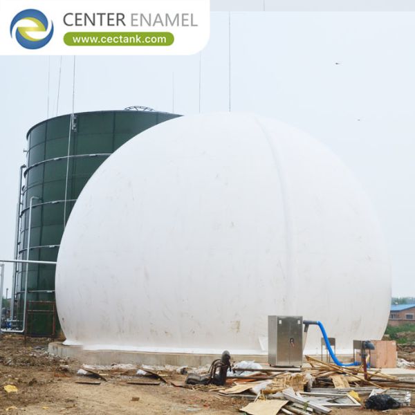 Double Membrane Biogas Holder for a Wastewater Treatment Plant: General Solution