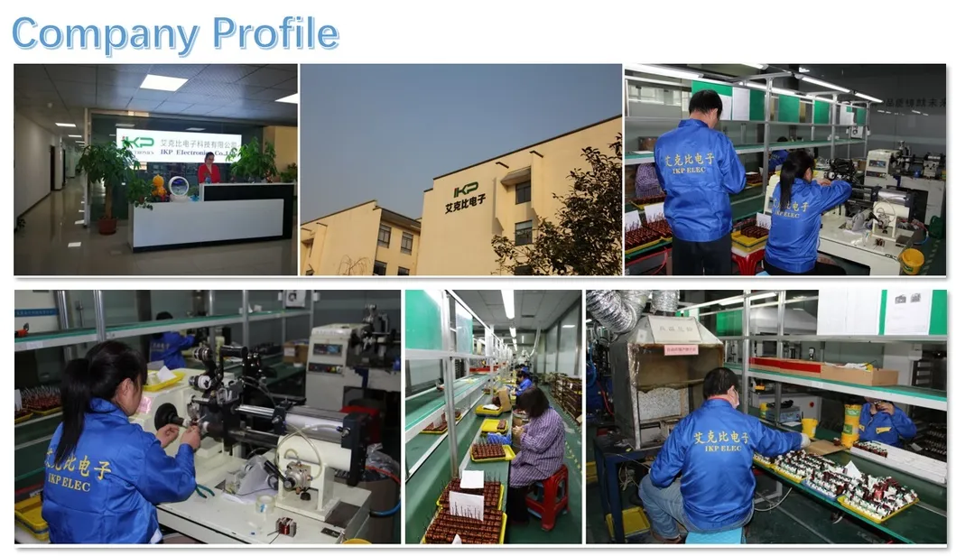 UL/Ce/RoHS RM Type High Frequency Power Transformer